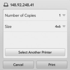 Figure 1: Example Print Dialog for manually added printer